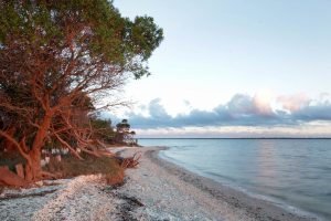 An image looking to Lake King shoreline from The Abbey Chapel